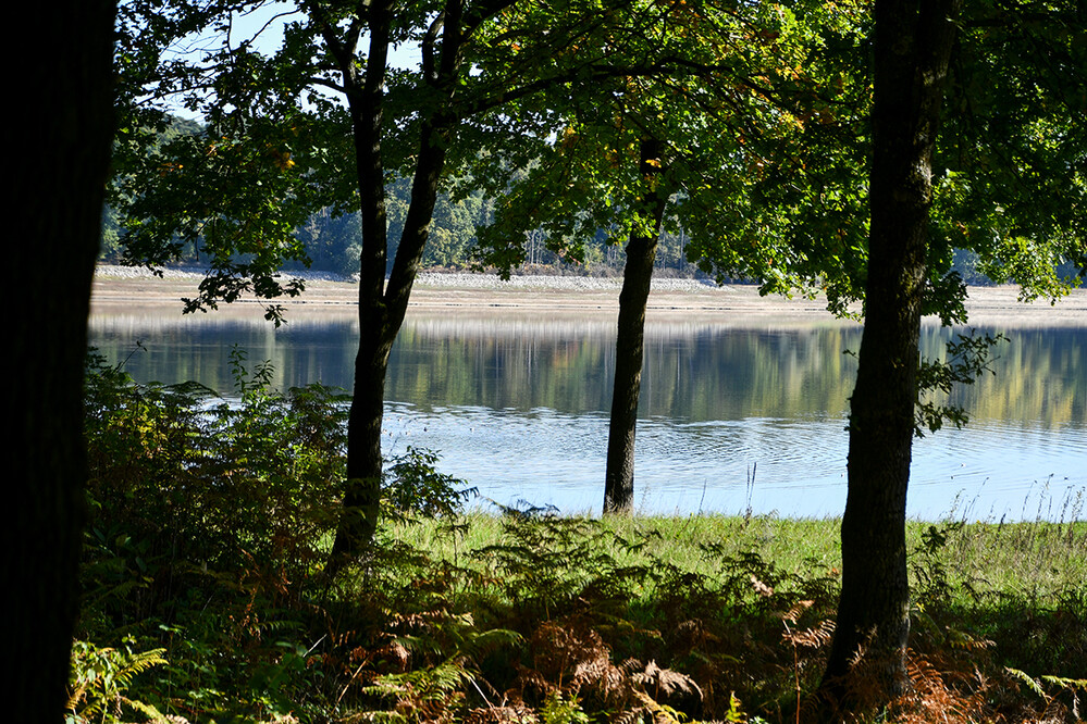 Landschaften „Trinkwassergewinnung“
Blick durch die Bäume auf den Stausee
Roland
Schlüsselwörter: 2022