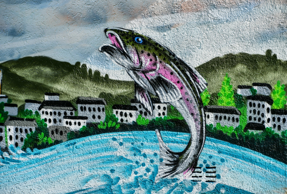 Kultur "Graffiti"
Roland
Schlüsselwörter: 2025