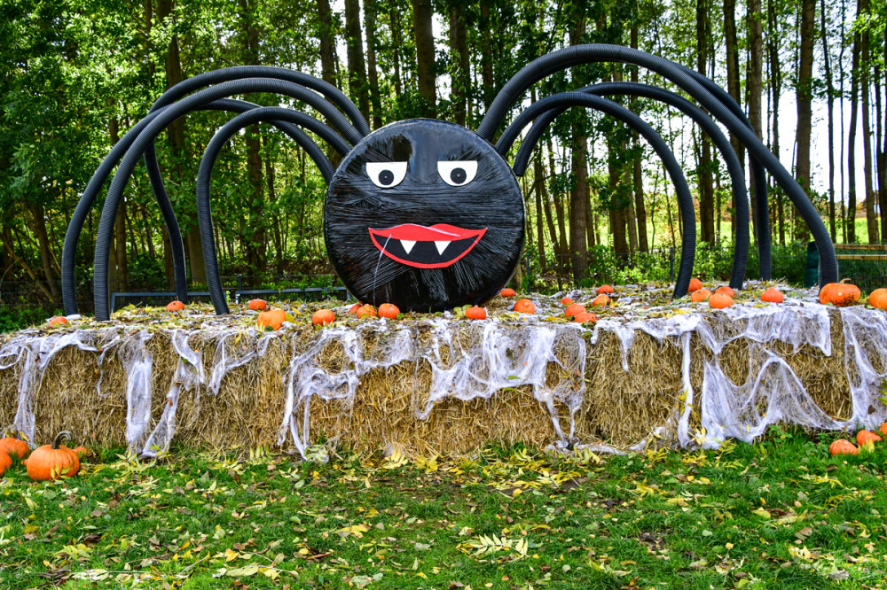 Kultur "Halloween"
Roland
Schlüsselwörter: 2025