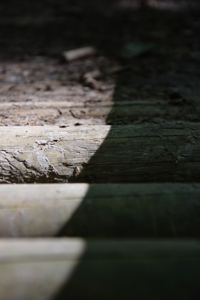 Schatten "Holzbrücke im Wald“
Janine
Schlüsselwörter: 2021