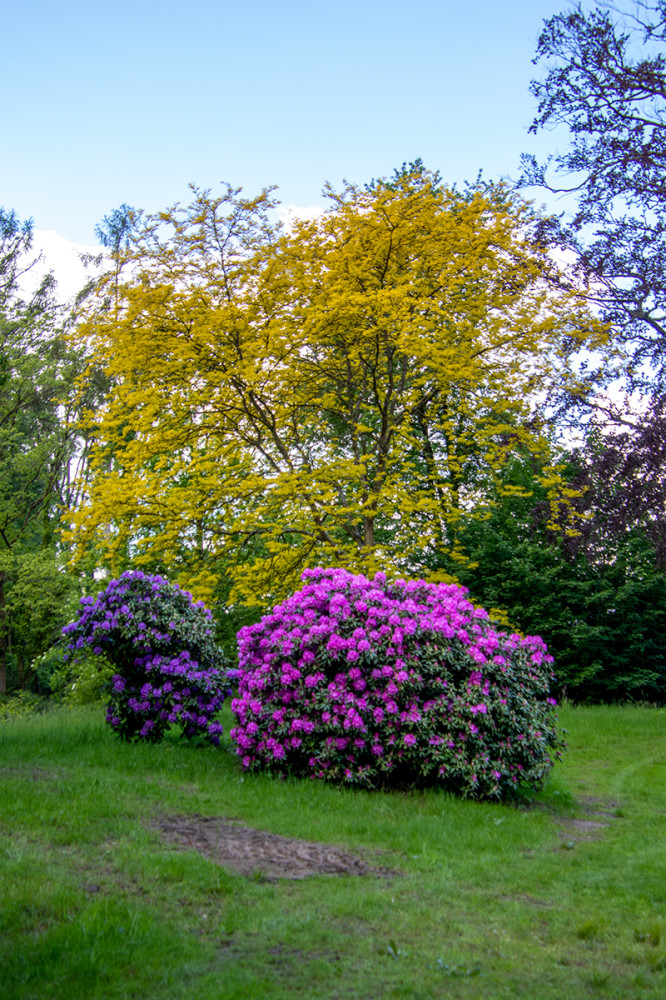 Schlosspark Heltorf - Parklandschaft
Marianne
Schlüsselwörter: 2026
