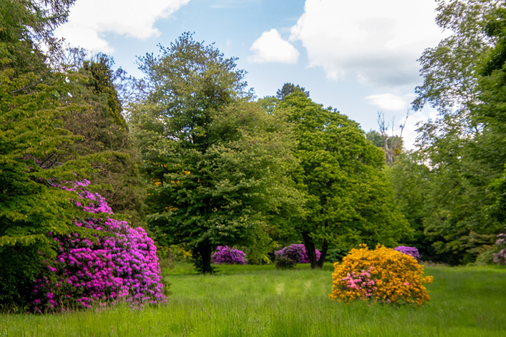 Schlosspark Heltorf - Parklandschaft
Marianne
Schlüsselwörter: 2026