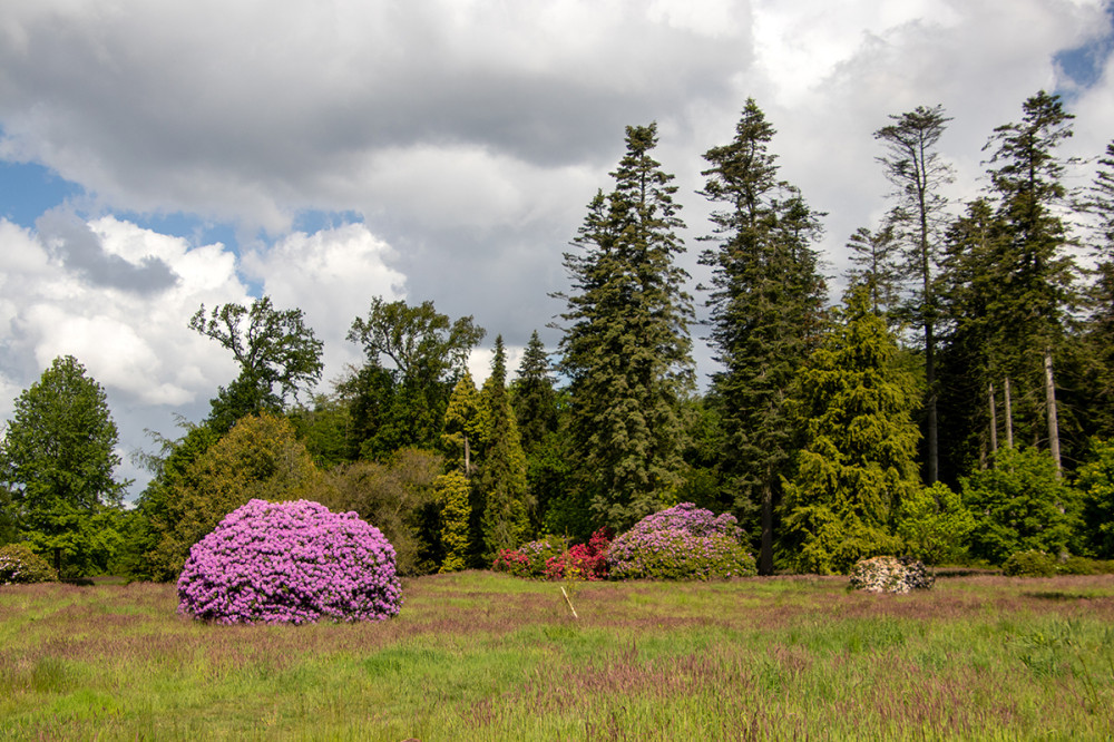 Schlosspark Heltorf 
Marianne
Schlüsselwörter: 2026