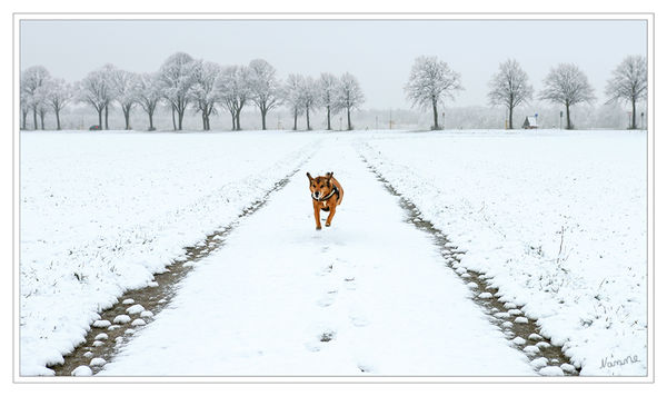 Regen..
kam heute für ein paar Stunden mal anders vom Himmel
Schlüsselwörter: Schnee