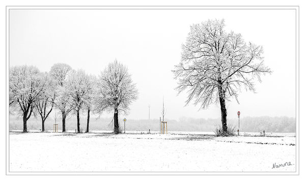 07.03.2016
Schlüsselwörter: Schnee