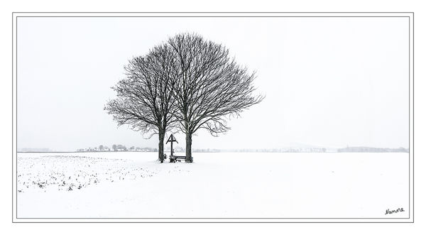 Black and white
Schlüsselwörter: Mein Freund                           Baum