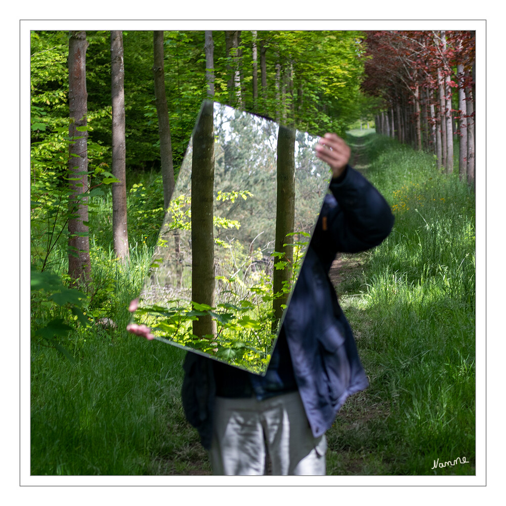 Die andere Ansicht
Spielerei mit einem Spiegel
Marianne
Schlüsselwörter: Spiegelung