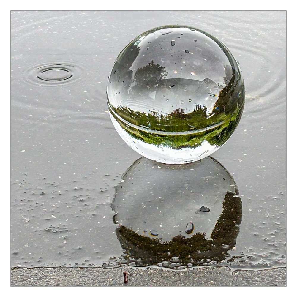 Spiegelung "Pfützenfoto"
Marianne
Schlüsselwörter: 2026