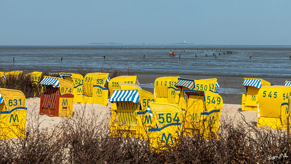 Ausblick
Richtung Neuwerk von Duhnen aus
Schlüsselwörter: Cuxhaven