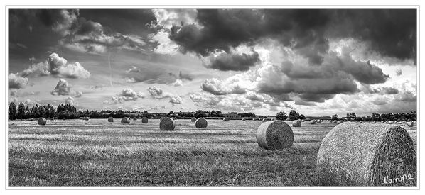 Strohballen
bis zum Horizont
Schlüsselwörter: Strohballen