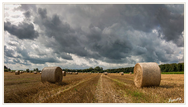 Strohballen
bis zum Horizont
Schlüsselwörter: Strohballen