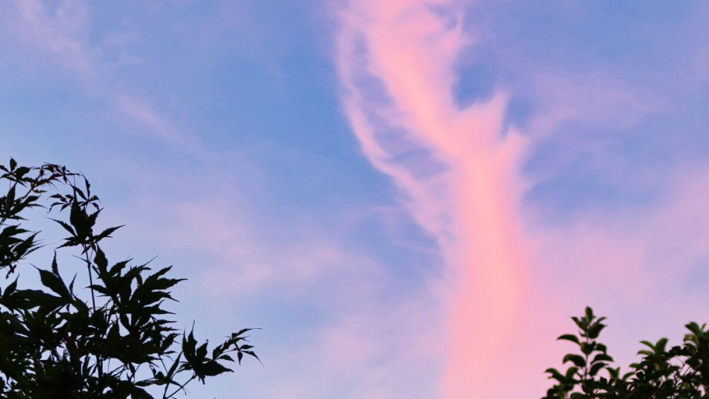 Am Himmel "Abendhimmel"
Verena
Schlüsselwörter: 2025