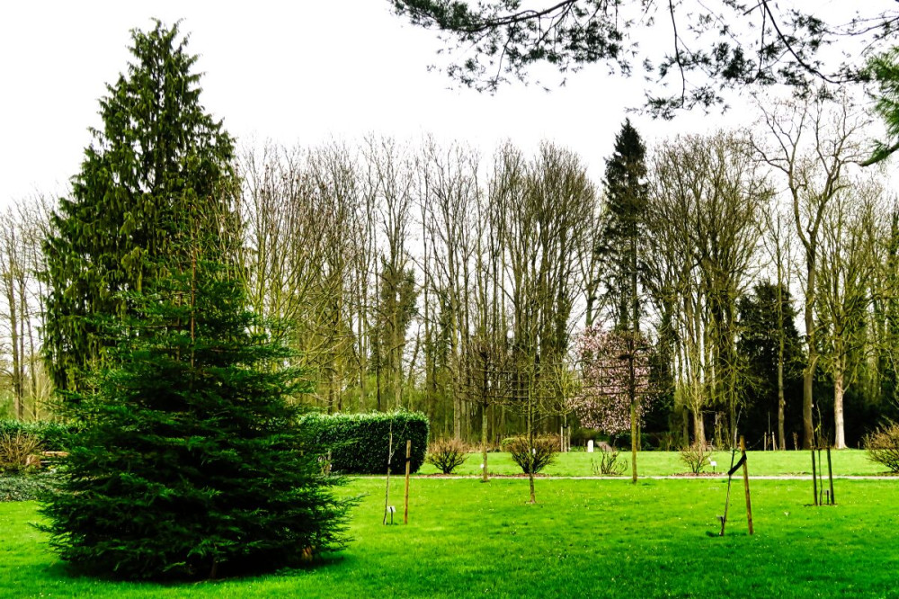 Alles im Park "Am Nikolauskloster"
Verena
Schlüsselwörter: 2025
