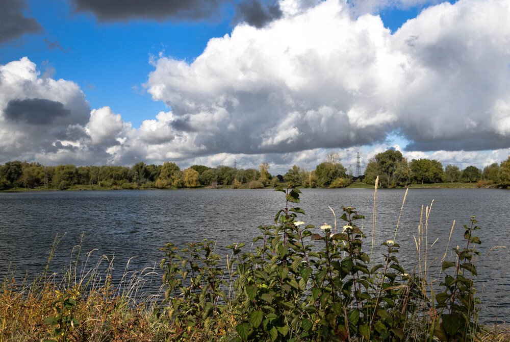 Landschaft "Am See"
Verena
Schlüsselwörter: 2022