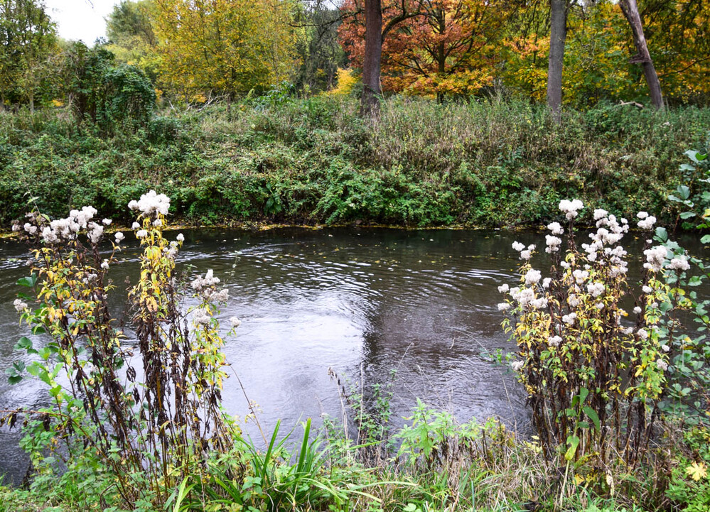 Landschaft "An der Erft"
Verena
Schlüsselwörter: 2022