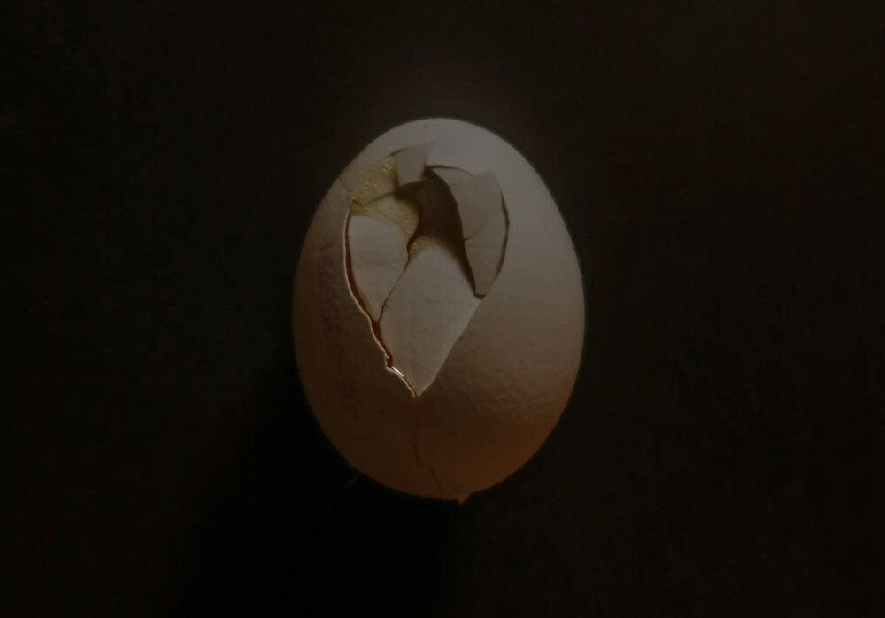 Nichts ist perfekt "Angetitschtes Ei"
Verena
Schlüsselwörter: 2023