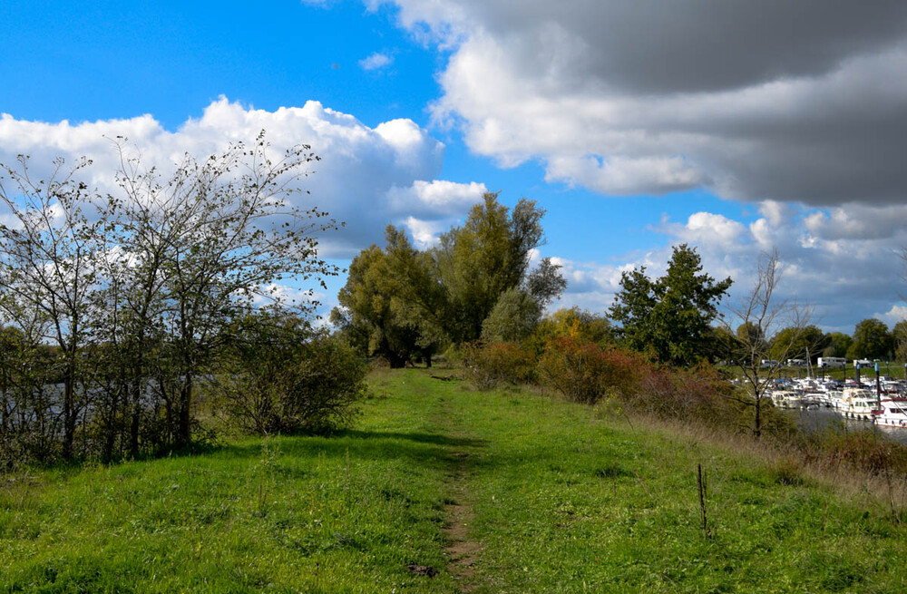 Landschaft "Auf dem Deich"
Maas
Verena
Schlüsselwörter: 2022