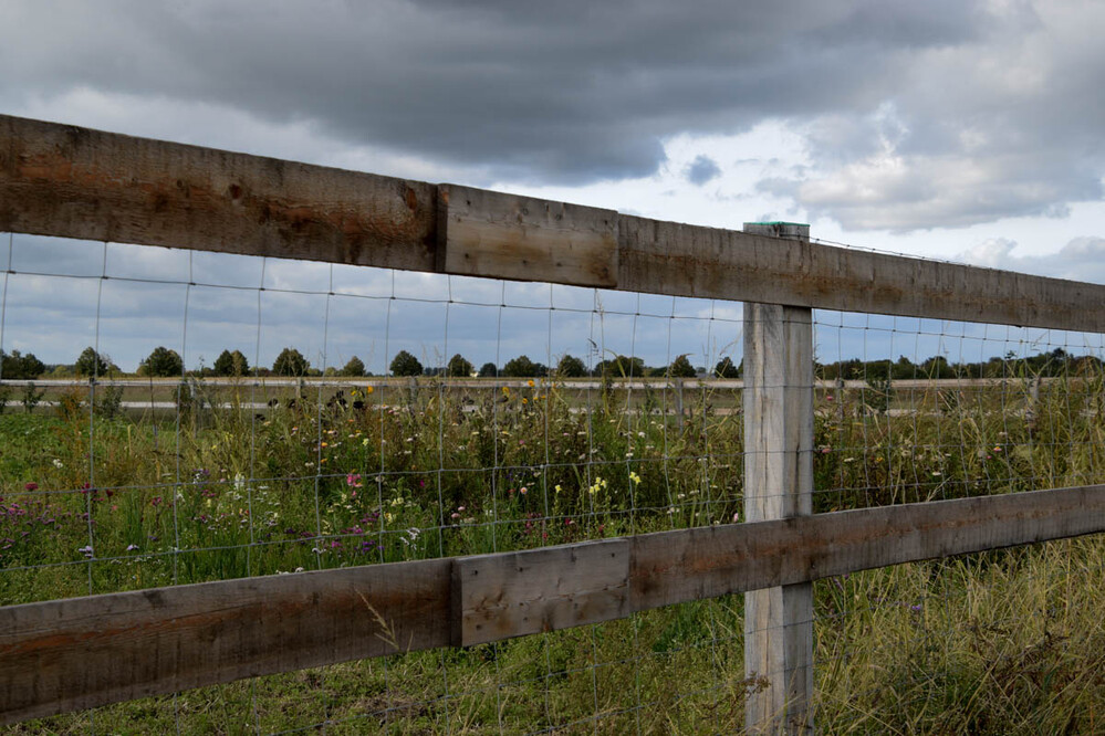 Landschaft "Blick durch den Zaun"
Verena
Schlüsselwörter: 2022