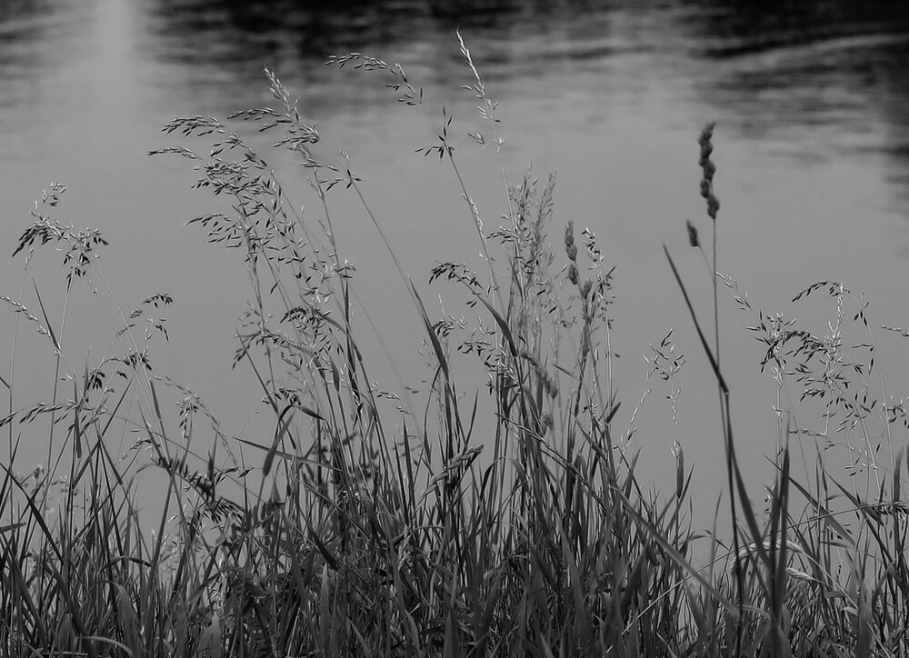 Minimalistisch „Gräser am Wasser“
Verena
Schlüsselwörter: 2023