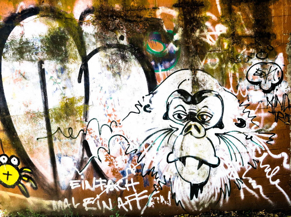 Graffiti "Mal ein Affen"
Verena
Schlüsselwörter: 2022