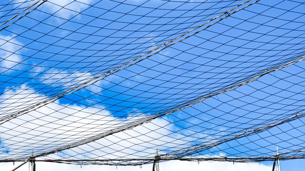 Am Himmel "Verdeckter Himmel"
Verena
Schlüsselwörter: 2025
