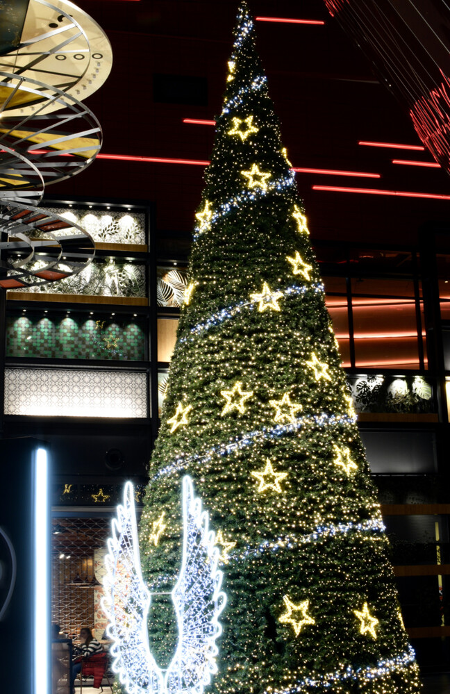 Dezemberfoto „Weihnachtsbaum“
Janine
Schlüsselwörter: 2021