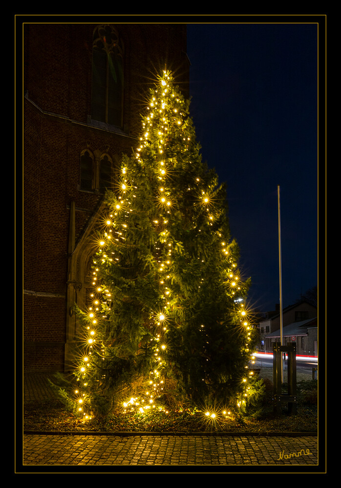 51 - Allen "Frohe Weihnachten"
2021
