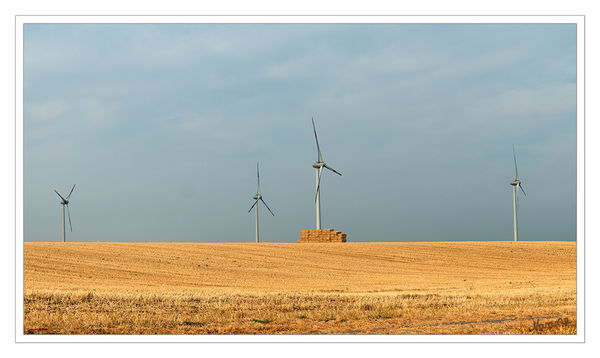 31 - Windräder
Schlüsselwörter: Windräder