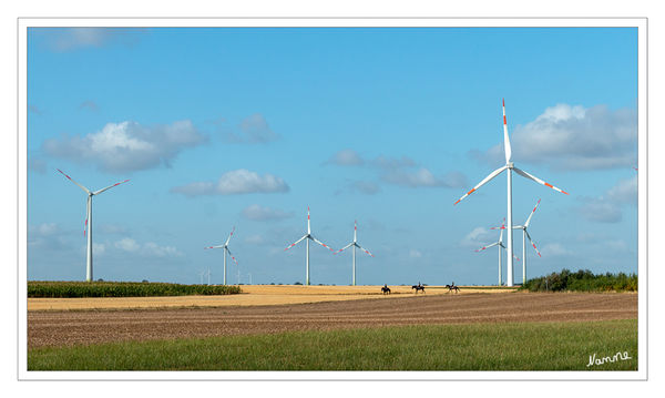 Windräder
auf den Feldern
Schlüsselwörter: Windräder