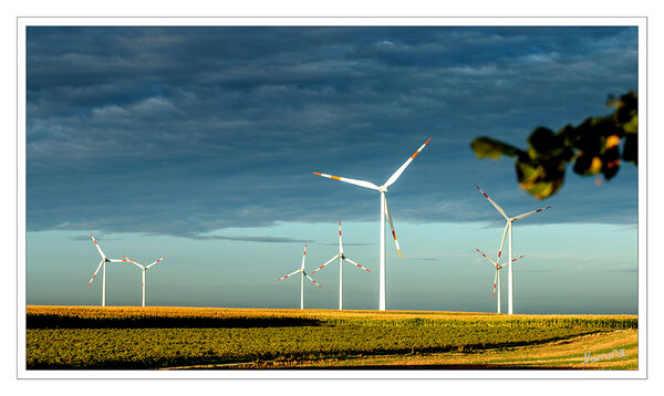 36 - Wolkenhimmel und Windräder
Schlüsselwörter: Windräder