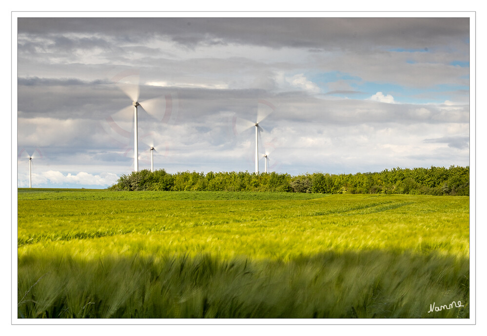 Windräder im grünen
Hier habe ich einen Verlaufsfilter mit einem ND Filter kombiniert um die gewünschte Bewegung und den Windrädern festzuhalten. Blende 22 mit 0,8 Sek.
Schlüsselwörter: Windrad; Feld