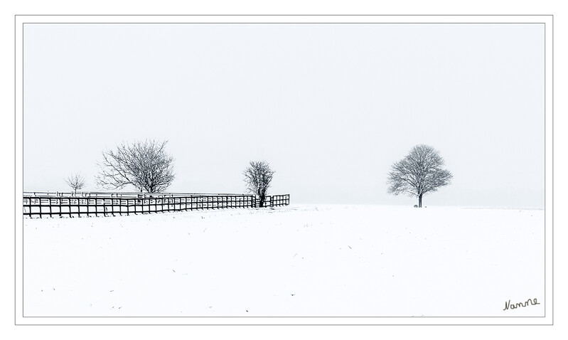 Winterfeeling
Am frühen Morgen war eine wundervolle Schneelandschaft zu sehen. Leider blieb sie nur stundenweise erhalten.
Schlüsselwörter: Schnee; Baum