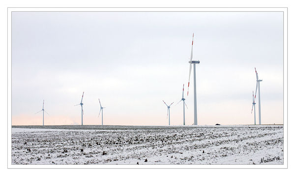 Winterintermezzo
Ein kurzes Gastspiel des Winters mit Schnee
Schlüsselwörter: Windräder