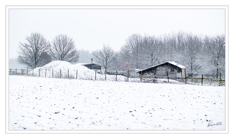 Winterintermezzo
für ein paar Stunden. Die waren aber stimmungsvoll
Schlüsselwörter: Winter; Schnee;2021;