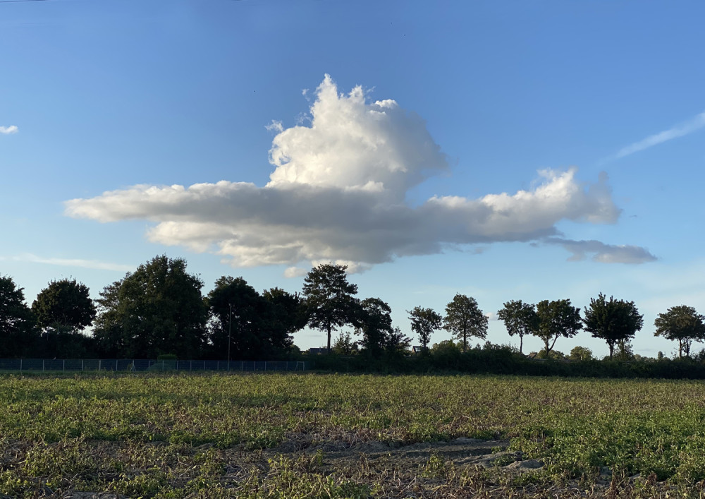 Wolkenzylinder
Elise
Schlüsselwörter: 2025