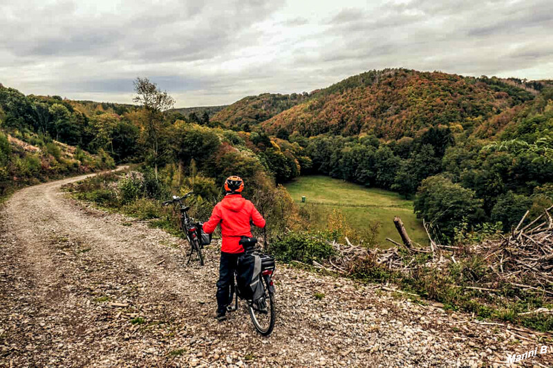 Impressionen aus der Nordeifel
Schlüsselwörter: Eifel