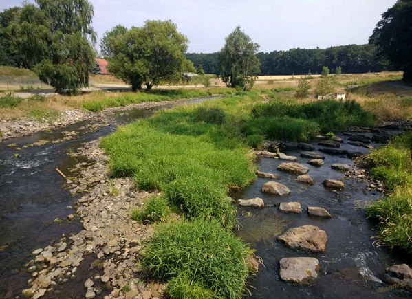 Niedriger Wasserstand
Umgebung von Quakenbrück
Schlüsselwörter: Quakenbrück