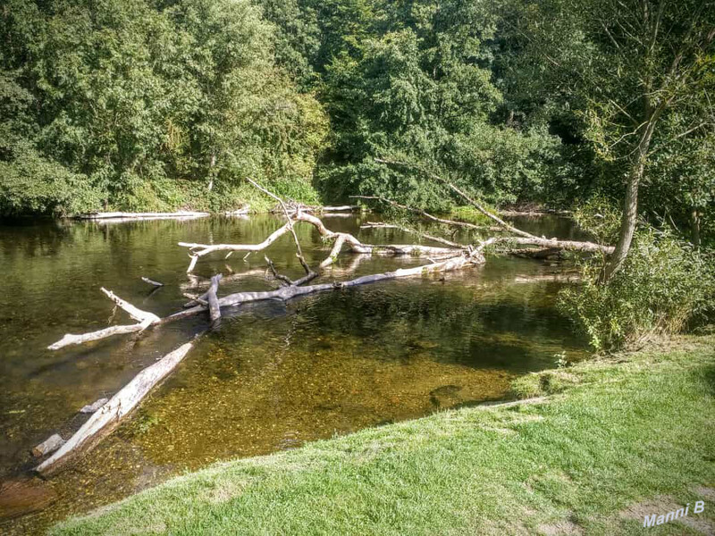 Pure Natur
Die Rur ohne H
Schlüsselwörter: Eifel