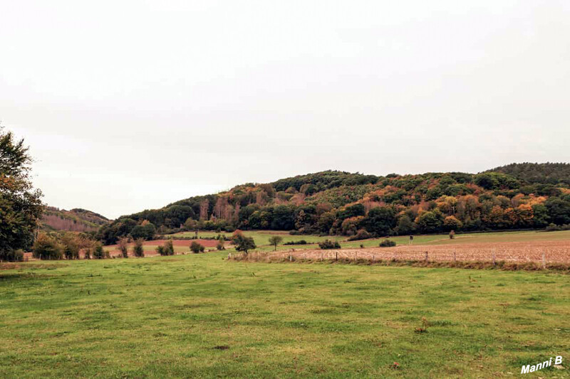 Impressionen aus der Nordeifel
Schlüsselwörter: Eifel