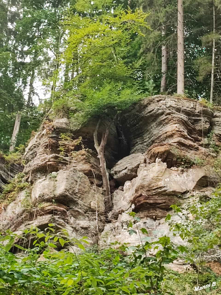 Luxemburgtour
Wanderung zum Rittergang
Schlüsselwörter: Luxemburg