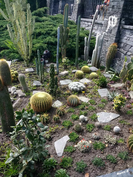 Insel Mainau
