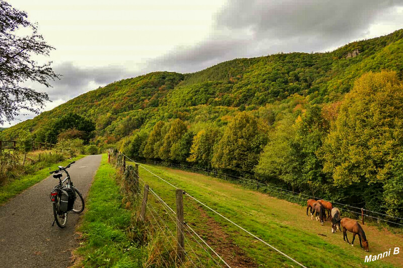 Impressionen aus der Nordeifel
Indien Summer am Rur-Ufer Radweg zwieschen Nideggen und Obermaulbach
Schlüsselwörter: Nordeifel; Eifel