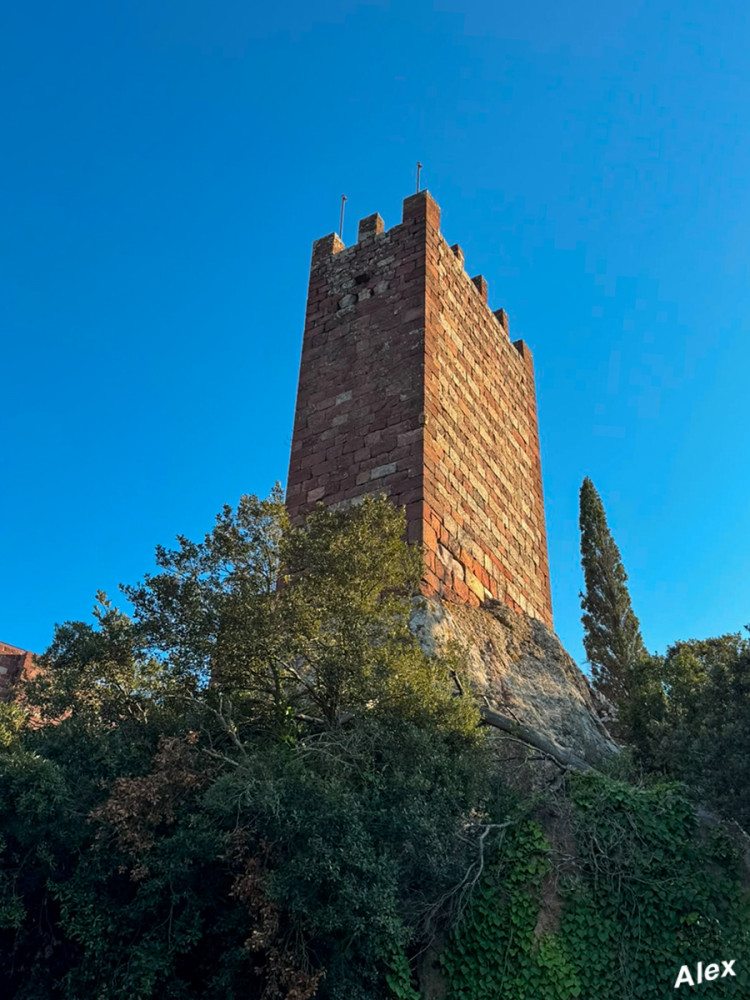 Blick auf die Burg
Schlüsselwörter: 2026