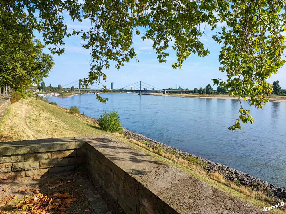 Düsseldorf
Blick auf die Rheinbrücken Richtung Medienhafen
