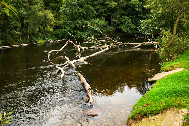 Impressionen aus der Nordeifel
Schlüsselwörter: Eifel