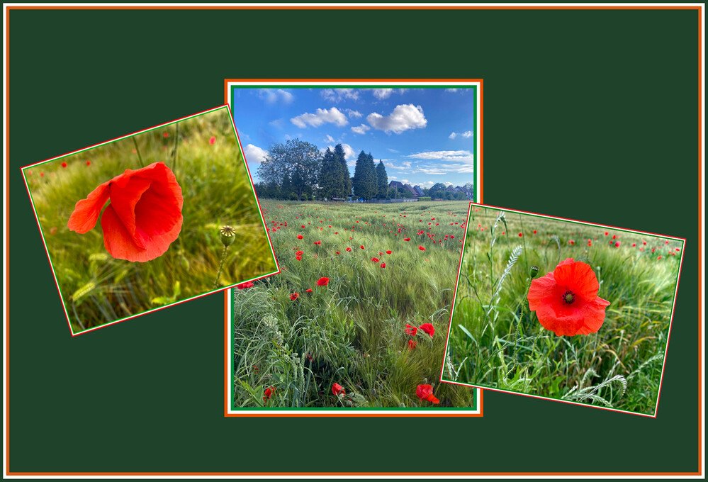 1.W. Motive von A - E  "Collage Blumen"
Elise
Schlüsselwörter: 2024