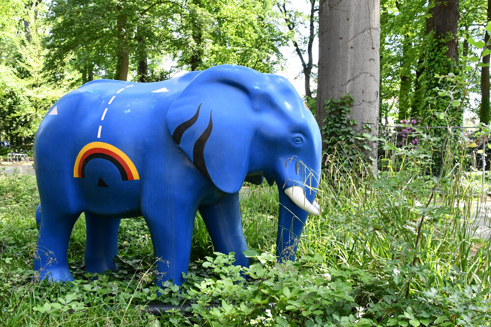 1.W. Motive von A - E  "Elefant"
Roland
Schlüsselwörter: 2024