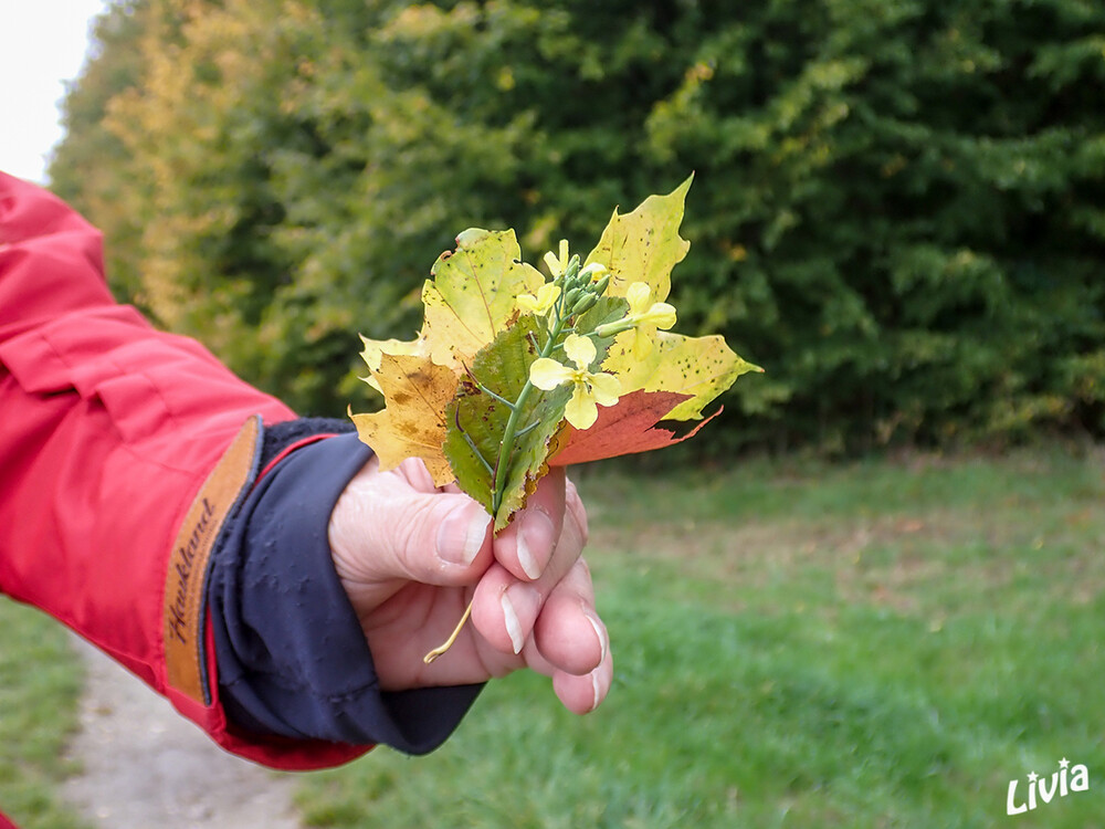 Herbstlich
Schlüsselwörter: 2022