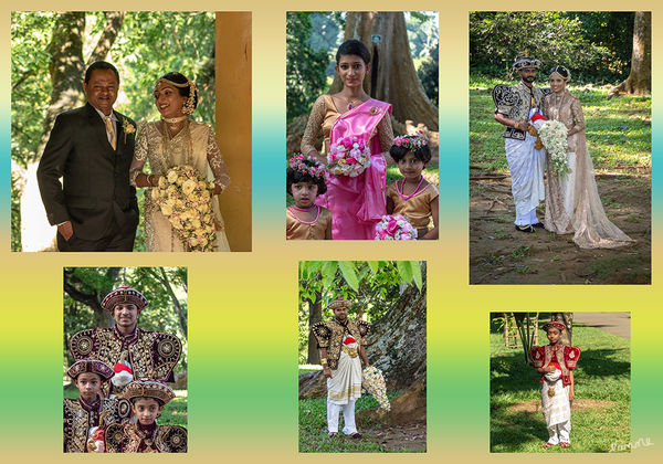 Impressionen aus dem botanischen Garten
Auch Brautpaare lassen sich hier gerne fotografieren. 
In der Regel noch vor der Zerimonie, damit sie frisch und munter aussehen. Auch für unsere Gruppe nahm man sich Zeit. Immer lächelnd, immer freundlich. Ein tolles Erlebnis
Schlüsselwörter: Sri Lanka,   Kandy,  Botanischer Garten,