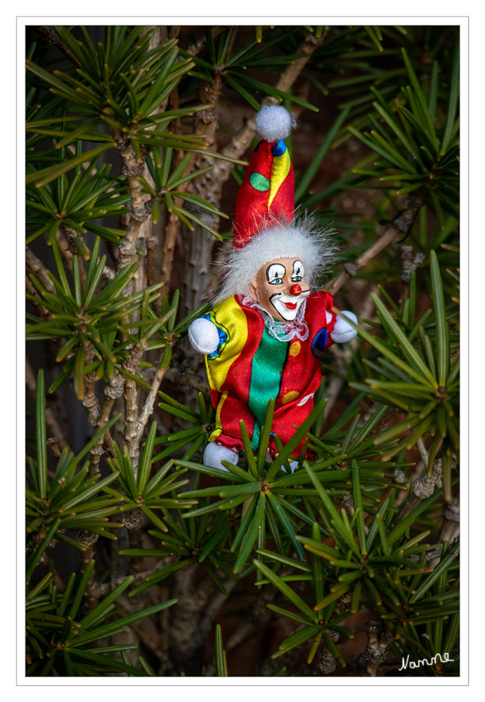 Der Karneval steht vor der Tür
Schlüsselwörter: 2026